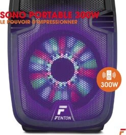 Enceinte Bluetooth 300W -Monde Electronique Enceinte Bluetooth 300W sono portable
