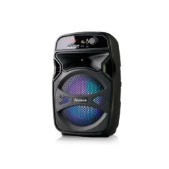 Grosse Enceinte Bluetooth Puissante