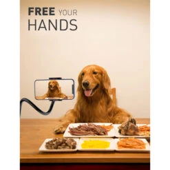 Support Téléphone Col De Cygne -Monde Electronique Support Telephone Col de Cygne libre